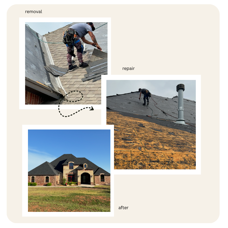 Fidelity - Collages-2